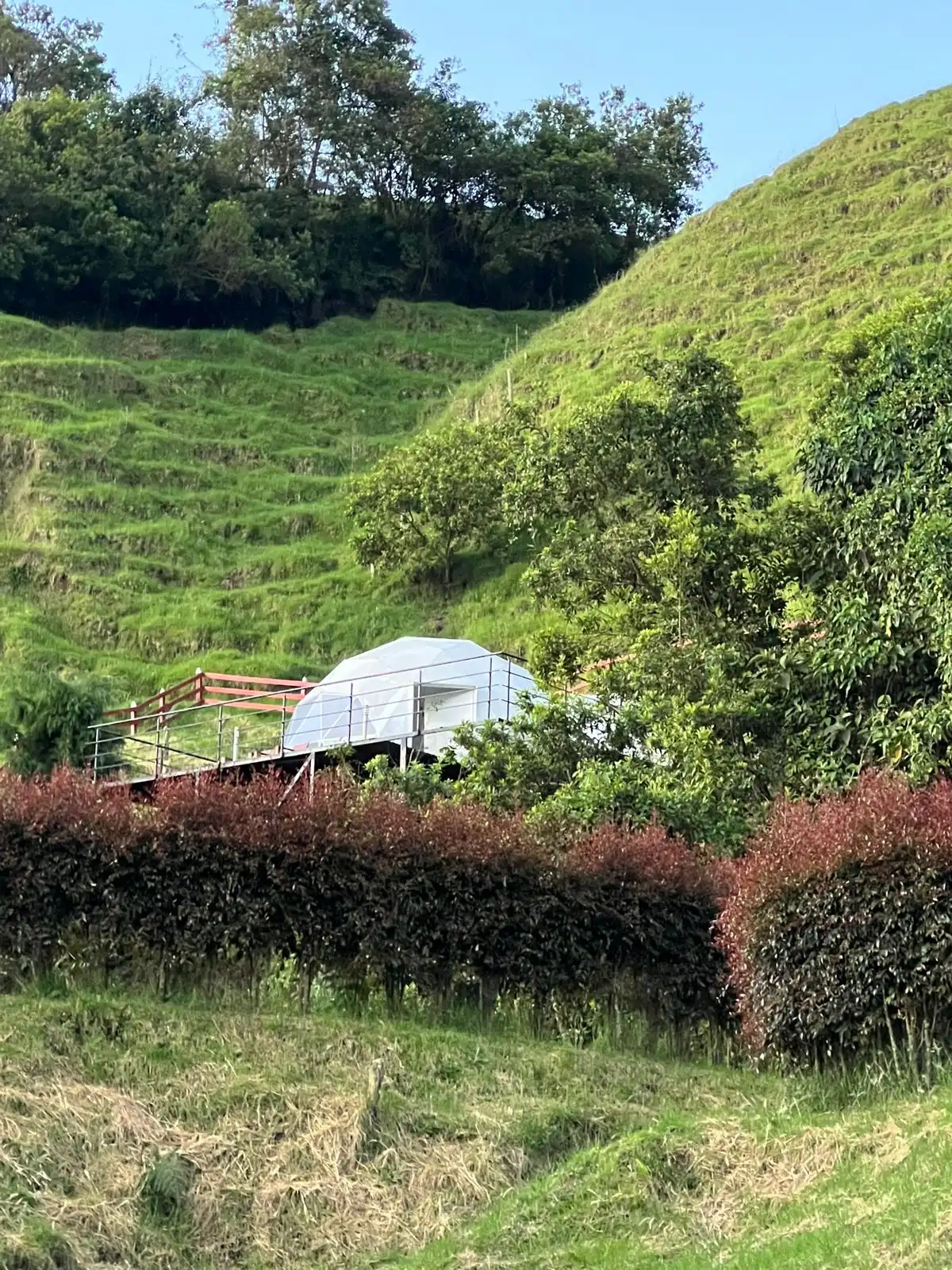 Glamping domo exterior, Reserva del Ruiz