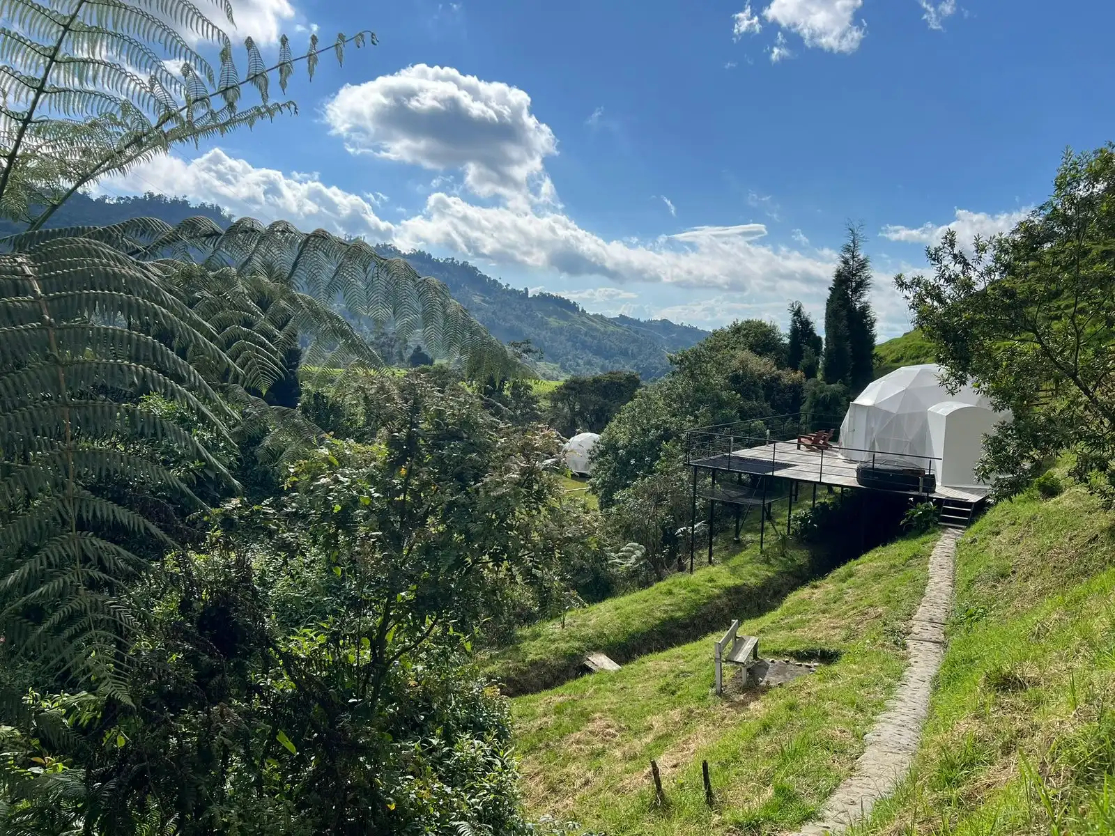 Glamping fogata estrellas, Reserva del Ruiz