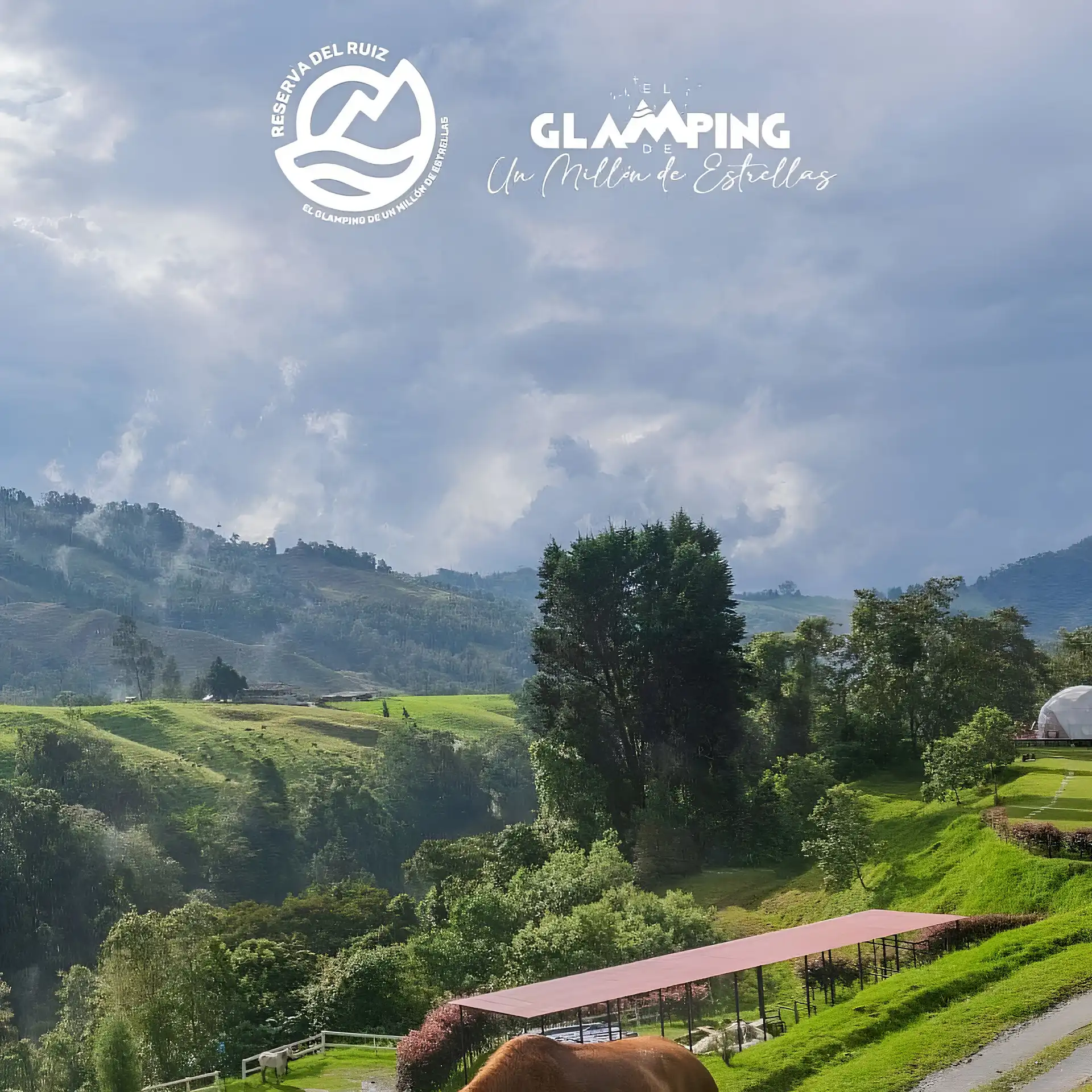 Panorama glamping, Reserva del Ruiz